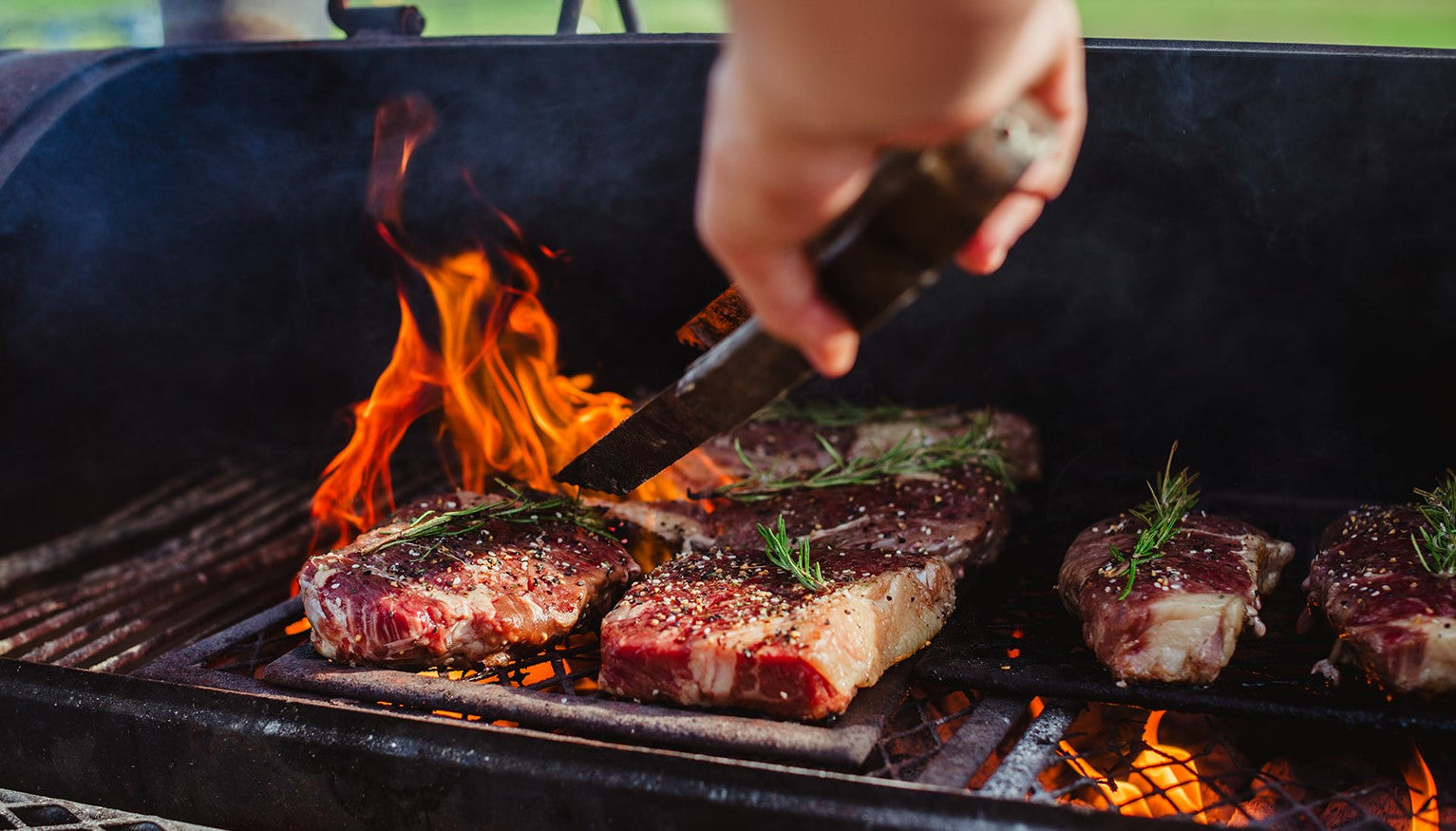 MFBCo BLOG – Martin Farms Beef Co.